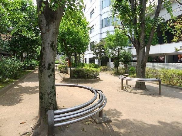 セタリアヴィリディス(西原一丁目公園)