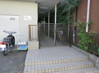 リトル上原