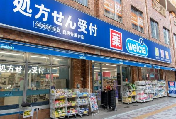 トレリ青葉台(ウエルシア目黒青葉台店)