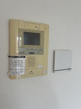 フューズ・コート175