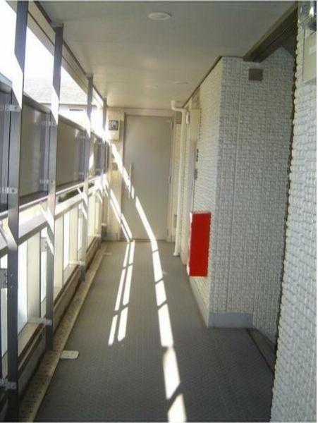 オアシス丘の上