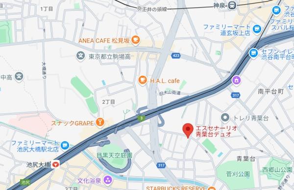 エスセナーリオ青葉台デュオ2