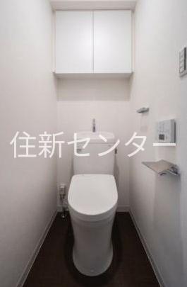 ステラフォート