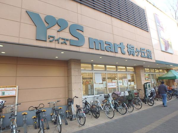 梅丘3丁目戸建(ワイズマート梅ヶ丘店)