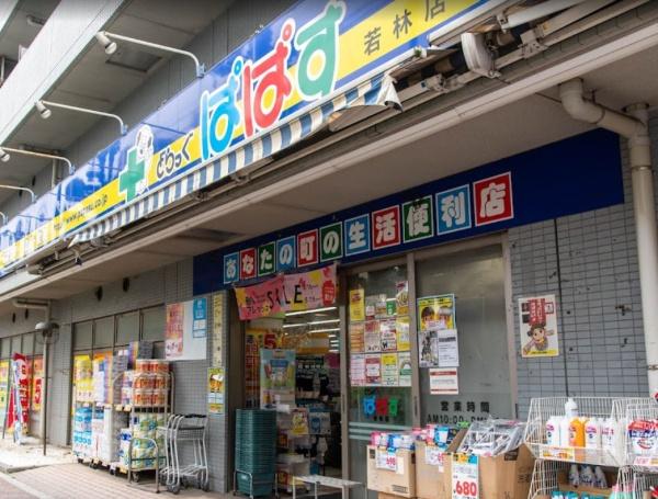 フドウ三軒茶屋ハイツ(どらっぐぱぱす若林店)