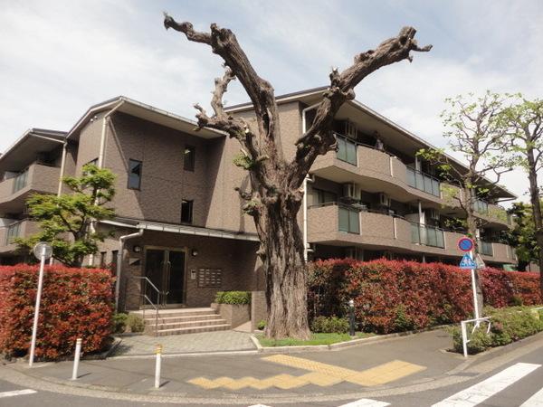 駒場レジデンス