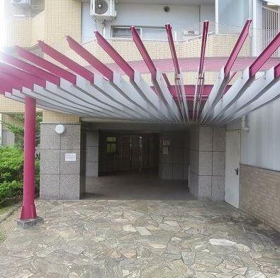 コラム神泉