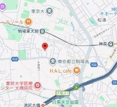 ステラ駒場