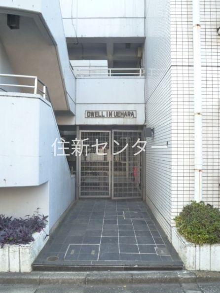 ドエルイン上原