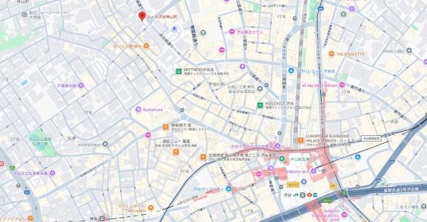 ルーエ渋谷神山町(現地案内図)