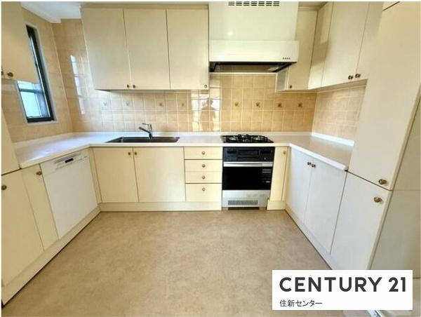 コートアネックス大山町(キッチン)