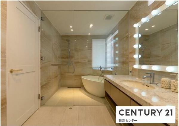 上原2丁目戸建(洗面台・洗面所)