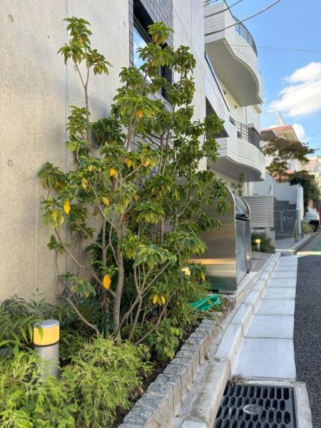 J'sコート文京千駄木