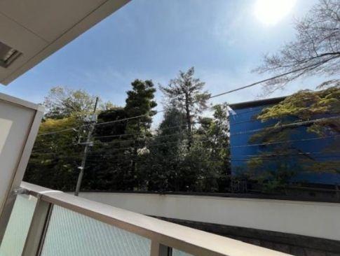 オアシス丘の上