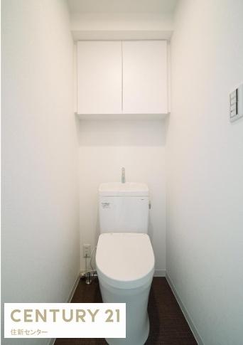 ステラフォート