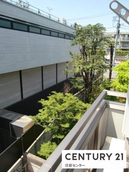 マルティニークヤマテ