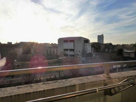 プロシード松涛