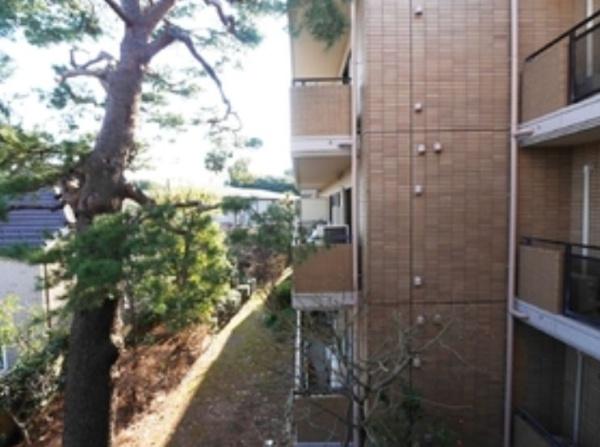 ボアセイズ