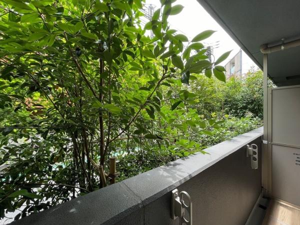 参宮橋ビューアパートメント