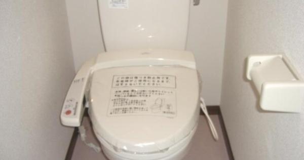アンプルールフェールドゥイズミ