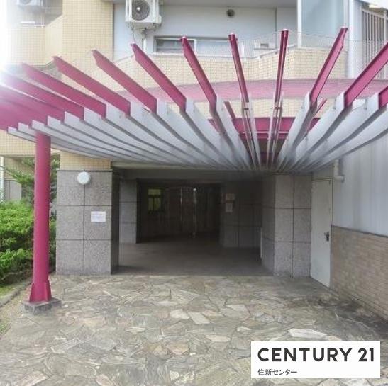 コラム神泉