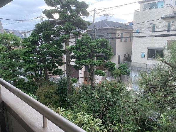 フィオーレ大山