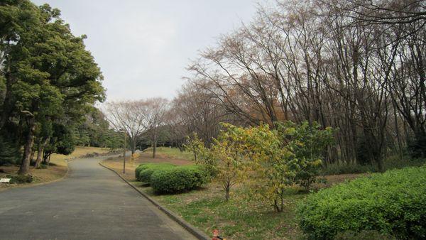 高橋ビル(東京都立代々木公園)