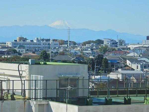 パーセル大山町