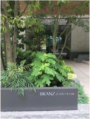 ブランズ渋谷代々木公園