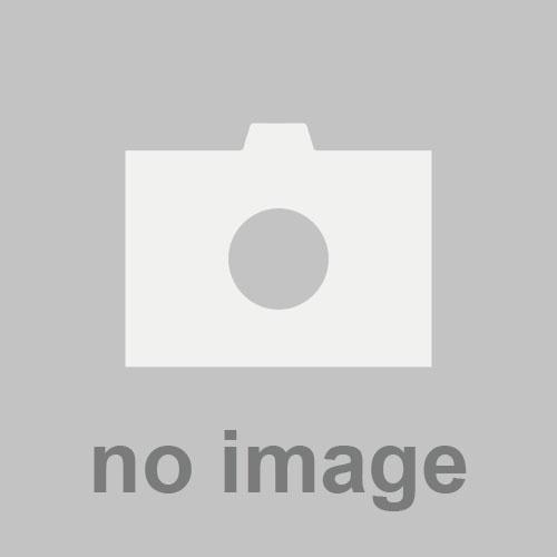 SNハウス