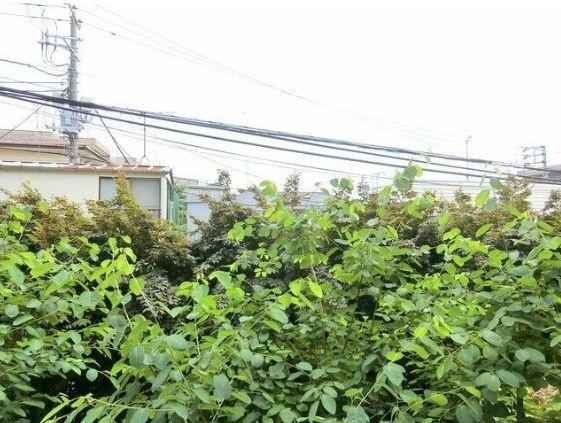 コート徳川山