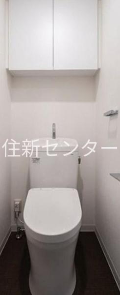 ステラフォート