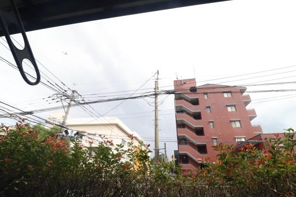 シンフォニー