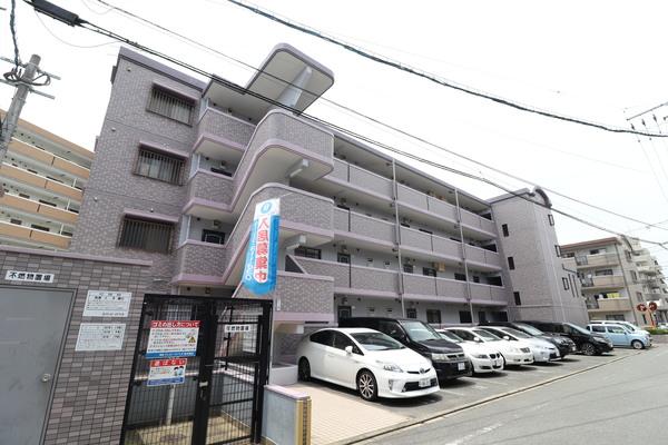 フレックス20