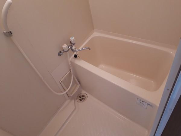 テルコーポ(バス)