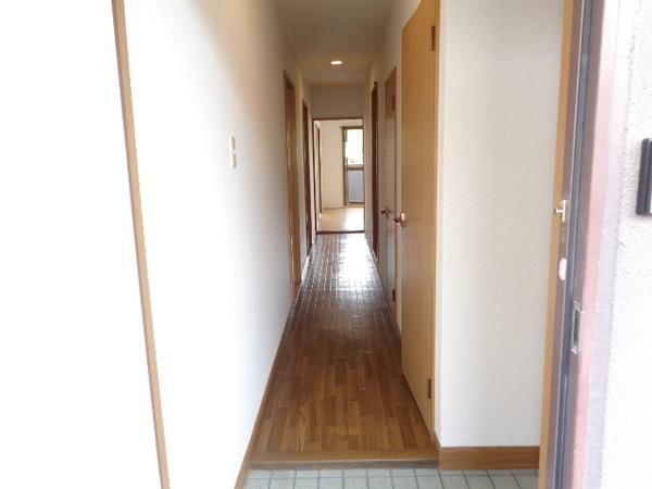 コモド・ステラ