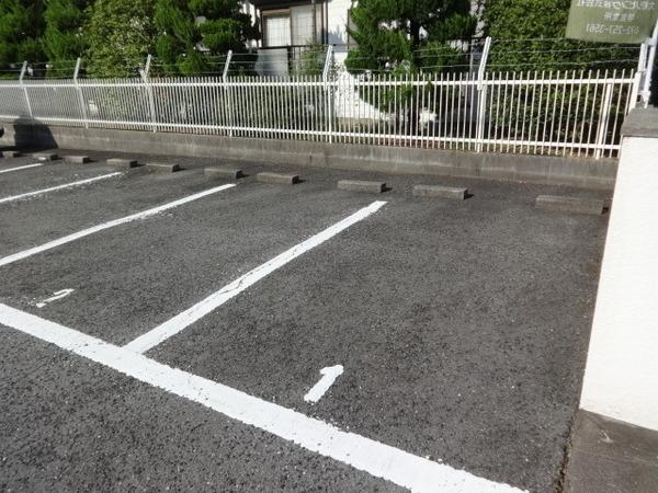 レディース金剛