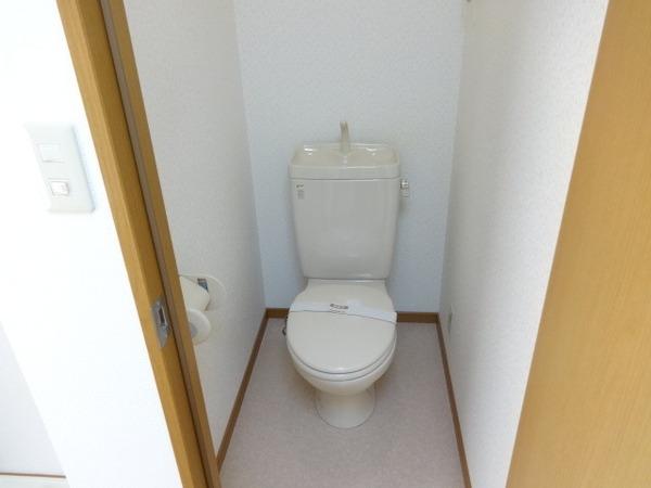レディース金剛