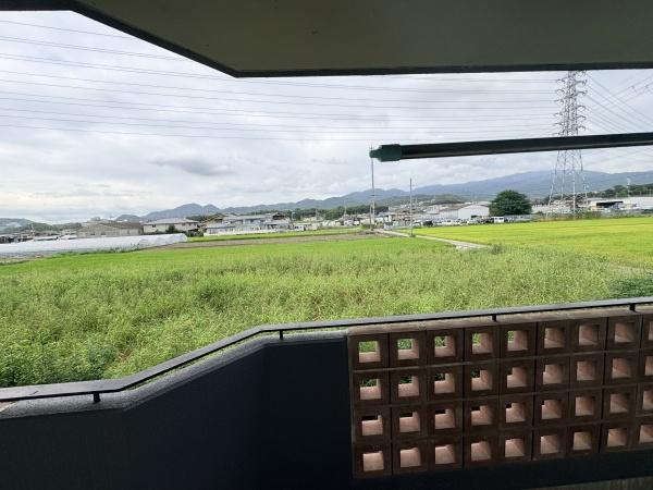 シャローム山城