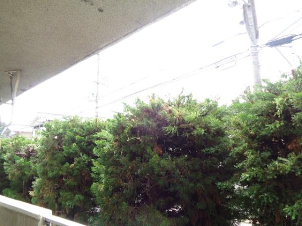 椋本マンション