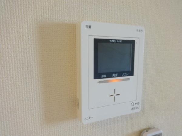 グレイス　ヴィオラ