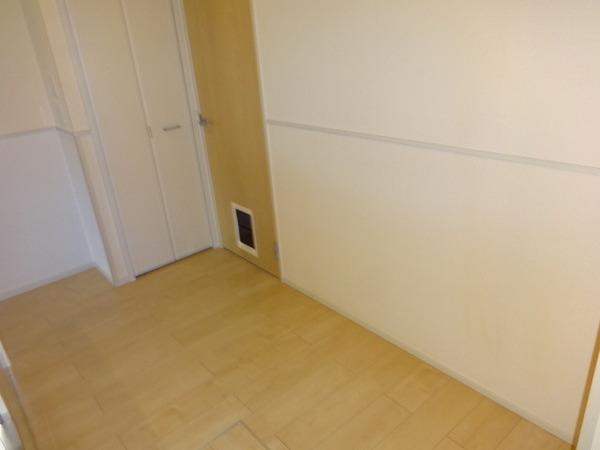 グレイス　ヴィオラ