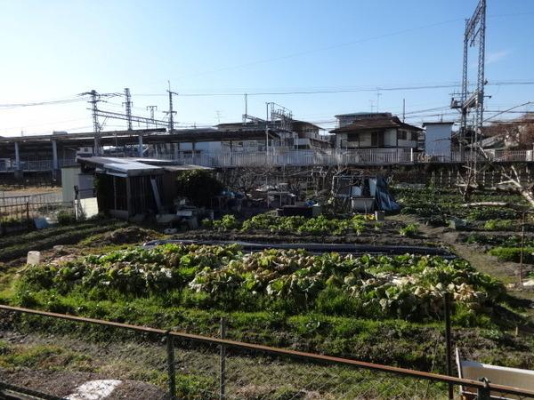 Comfort恵