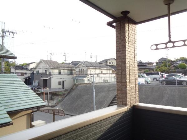 アルファコート