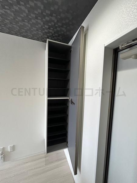 エヌエムキャトフヴァントゥレーズ　サウス