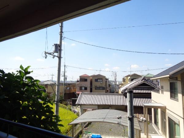 ボイスデムドン