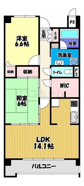 ステラコート
