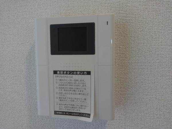 フェリスウラタ