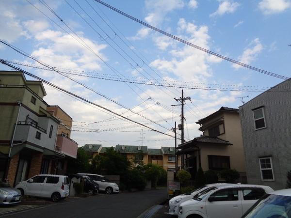 パライソ