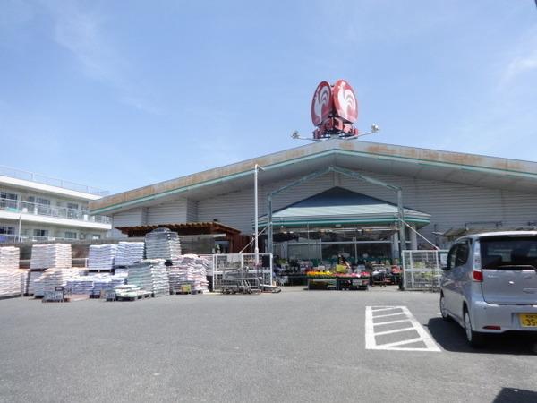 イノセント　エンジェル(コメリハード＆グリーン河内河南店)